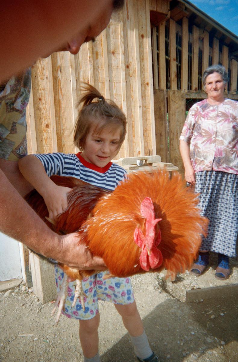 Meine Tochter und ihr Hahn.